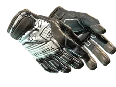 Skin's image