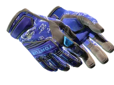 Skin's image
