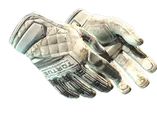 Skin's image
