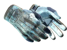 Sport Gloves | Frosty