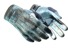 Sport Gloves | Frosty