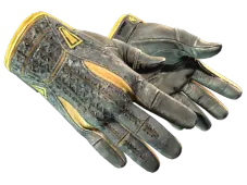 Skin's image