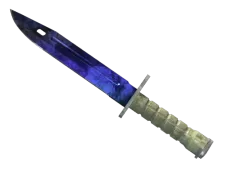 Skin's image
