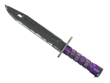 Skin's image