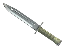 Skin's image