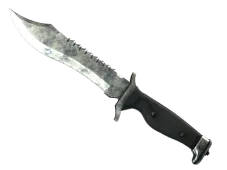 Skin's image