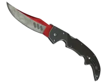 Skin's image