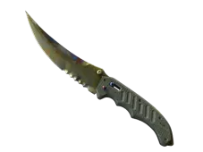 Skin's image