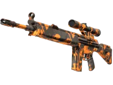 Skin's image