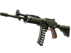 Skin's image