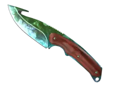 Skin's image