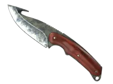 Skin's image