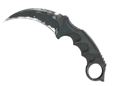 Skin's image