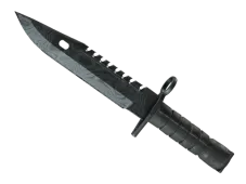 Skin's image