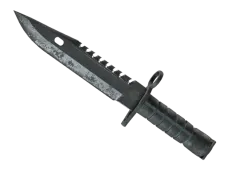 Skin's image