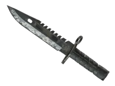 Skin's image