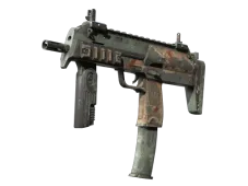 Skin's image