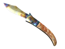Skin's image