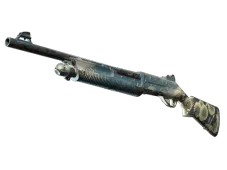 Skin's image