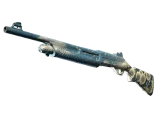 Skin's image