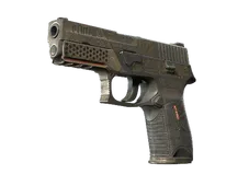 StatTrak™ P250 | Bullfrog
