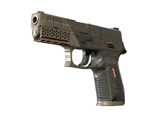 StatTrak™ P250 | Bullfrog