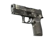 P250 | Re.built