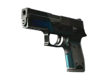 StatTrak™ P250 | Walencja