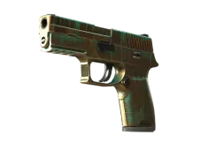 StatTrak™ P250 | 铜绿
