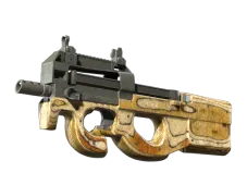 StatTrak™ P90 | Shapewood