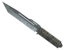 Paracordkniv (★ StatTrak™) | Damascus Steel