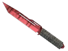 Skin's image
