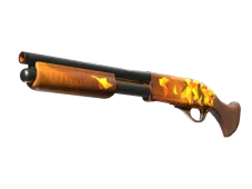 Skin's image