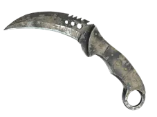 Skin's image
