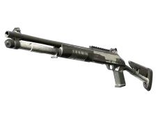 Skin's image