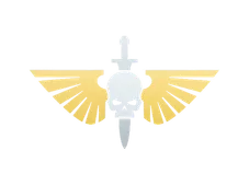 Skin's image