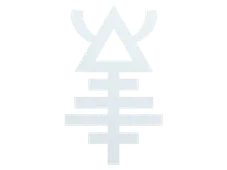 Skin's image