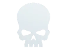Skin's image
