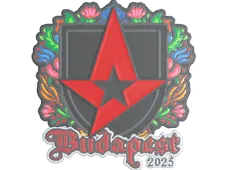 Skin's image
