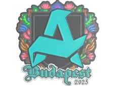 Skin's image