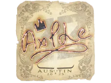 Skin's image