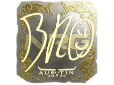 Skin's image