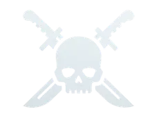 Skin's image
