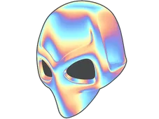 Skin's image