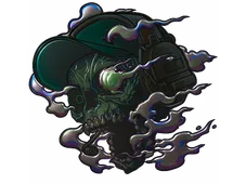 Skin's image