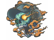 Skin's image
