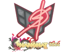 Skin's image