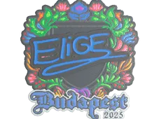 Skin's image