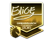 Sticker | EliGE (Gold) | Cluj-Napoca 2015