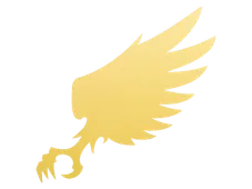 Skin's image